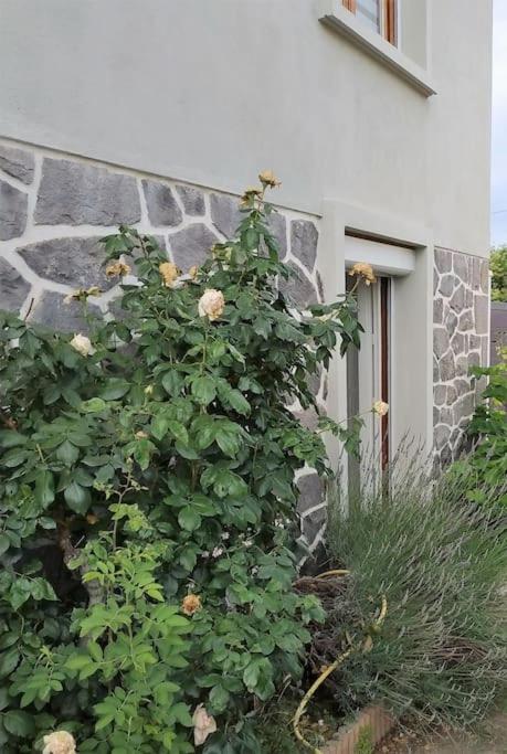 Grand Studio Avec Jardin Et Entree Privative A Noter Reservations De 3 Nuits Minimum Clermont-Ferrand Exterior foto